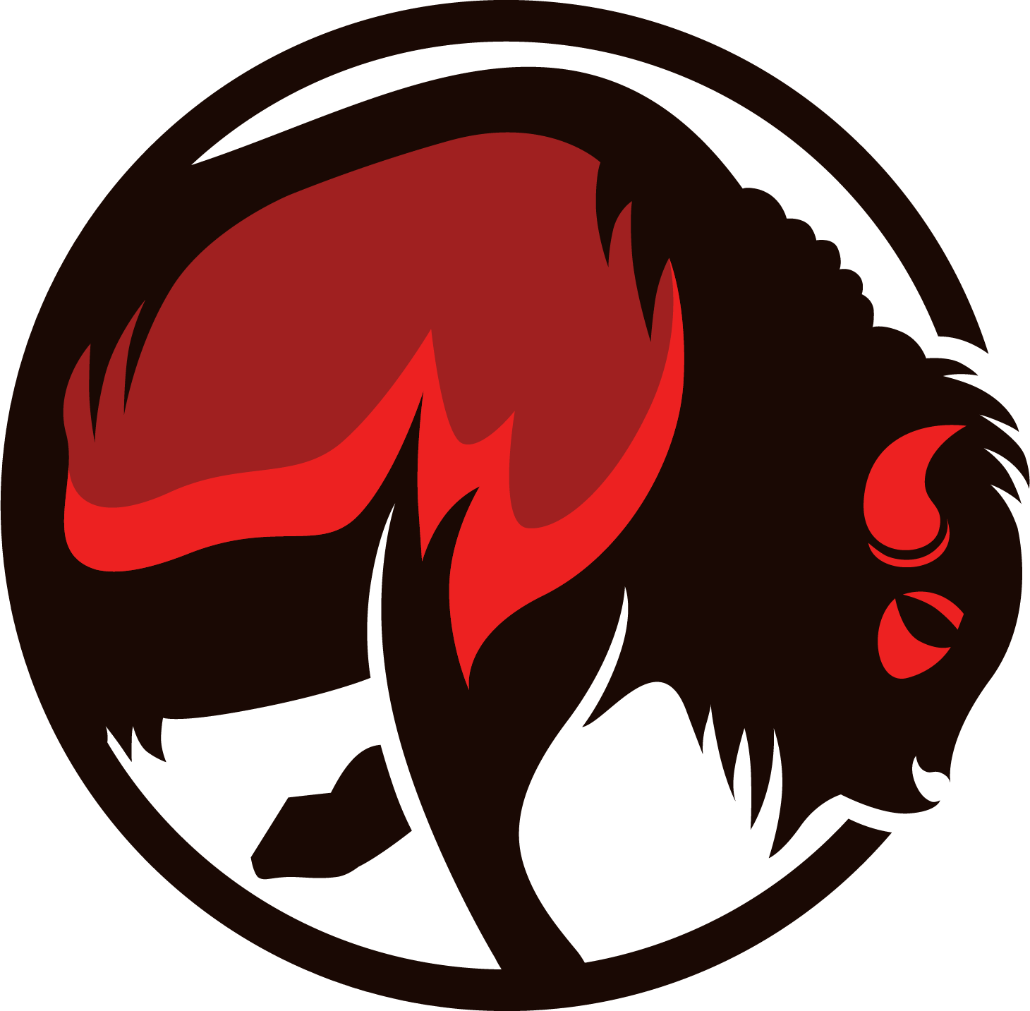 Red Bison Web Solutions